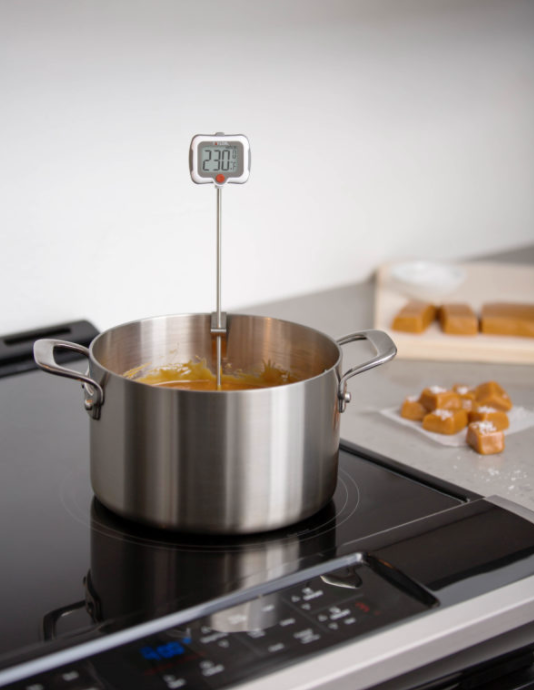 Digital Candy & Deep Fry Thermometer