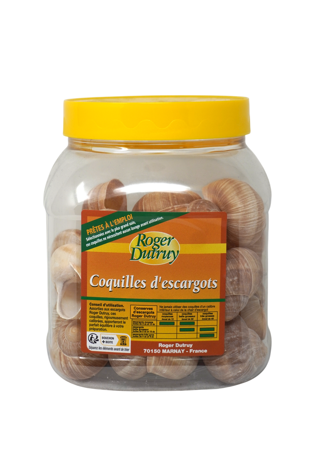 Escargot Snail Shells 36ct – Surfas Online