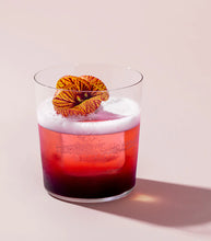 Load image into Gallery viewer, Rishi Schisandra Berry Sparkling Botanical 12oz
