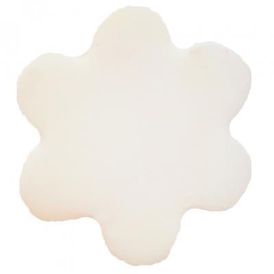 Blossom Dust - Arctic White 4g