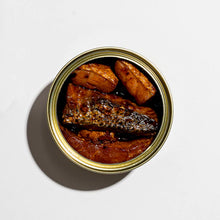 Load image into Gallery viewer, Fishwife Salmon Flyby Jing
