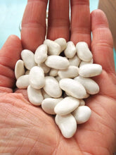 Load image into Gallery viewer, Haricot Tarbais Beans 500g
