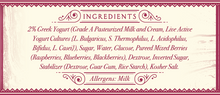 Load image into Gallery viewer, Nancy&#39;s Frutti Di Bosco Ice Cream Pint
