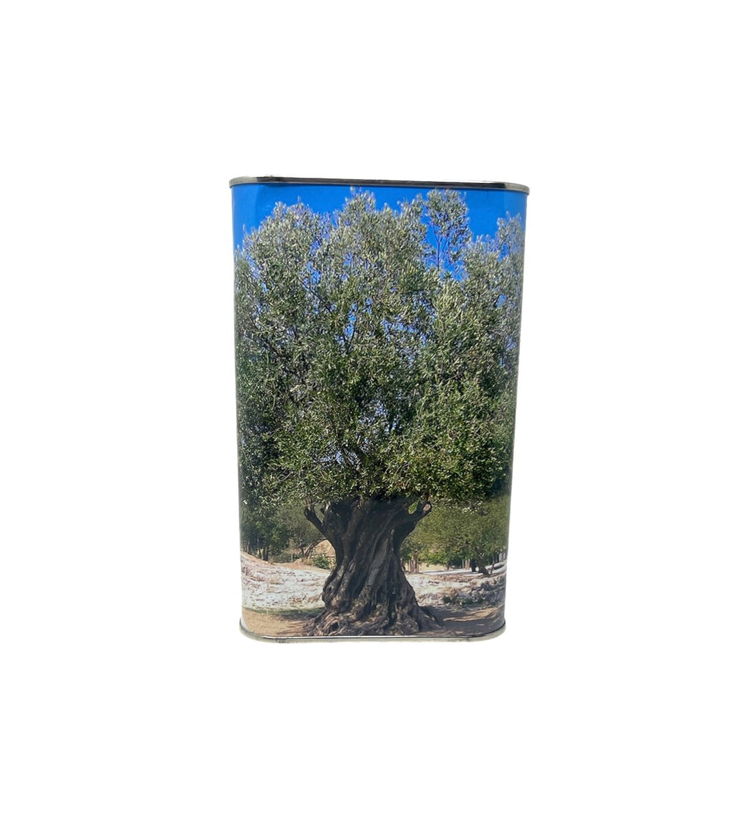 Vergine di Olivia Olive Oil 1ltr