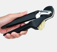 Load image into Gallery viewer, Garlic Press
