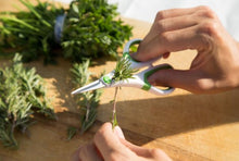 Load image into Gallery viewer, Herb Snippers
