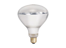 Load image into Gallery viewer, Heat Lamp Bulb 250W Clear
