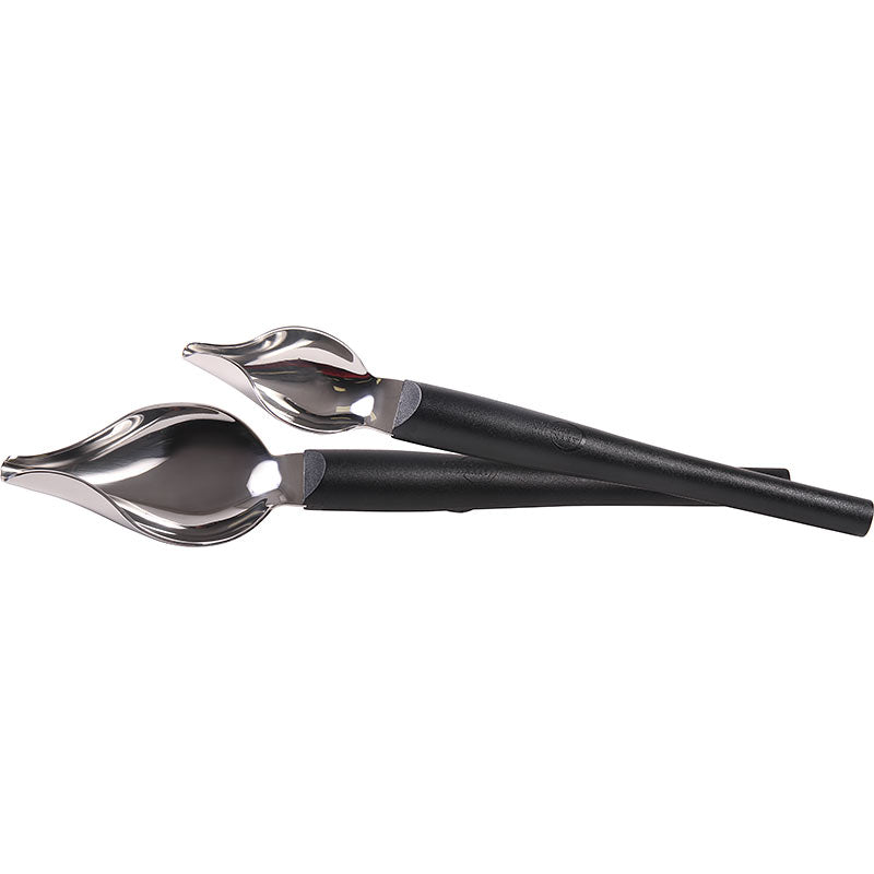 Drizzle Spoons set/2