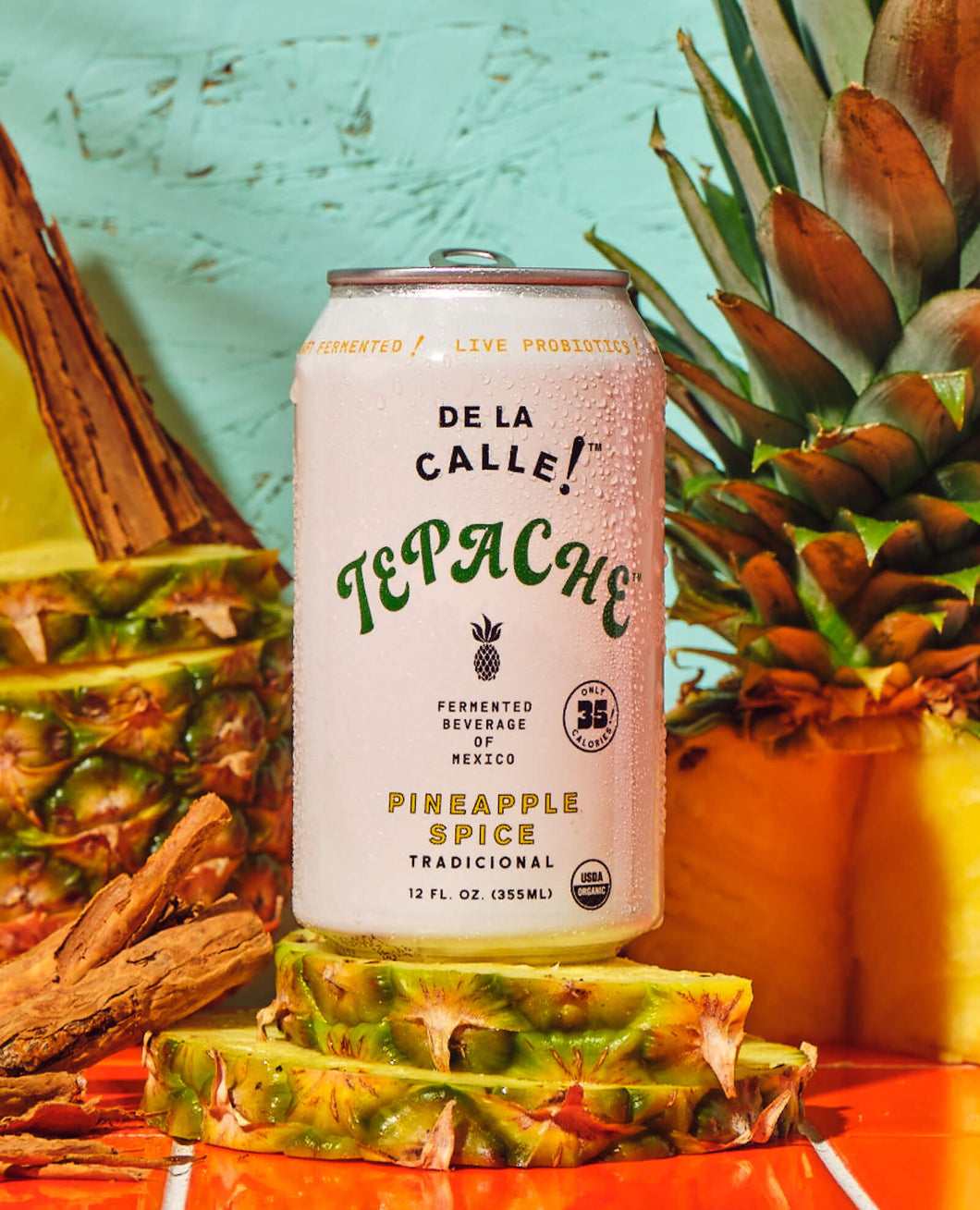 Tepache Pineaple Spice Drink 12oz