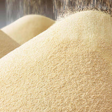 Load image into Gallery viewer, SAF Instant Yeast Gold 1lb
